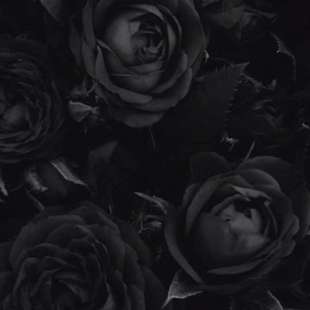 Meet your Posher, Alina